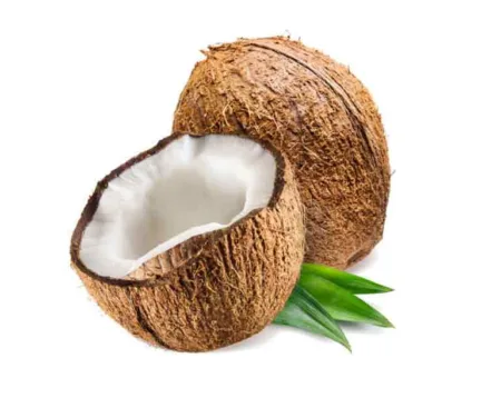 Coconut | Thengai