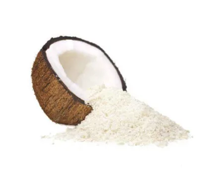 Instant Coconut Powder